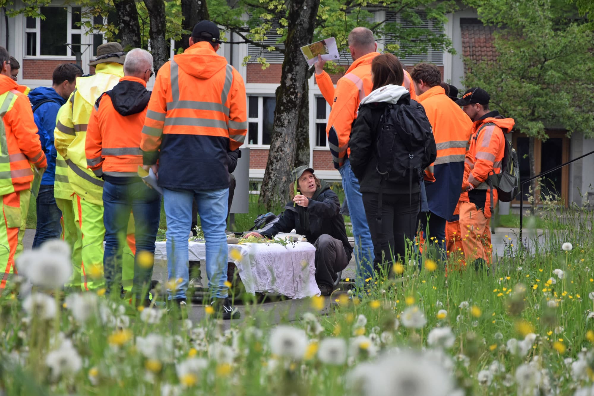 Eine Gruppe von Menschen in oranger Kleidung betrachtet einen Tisch mit Wildpflanzen wie Wiesensalbei.