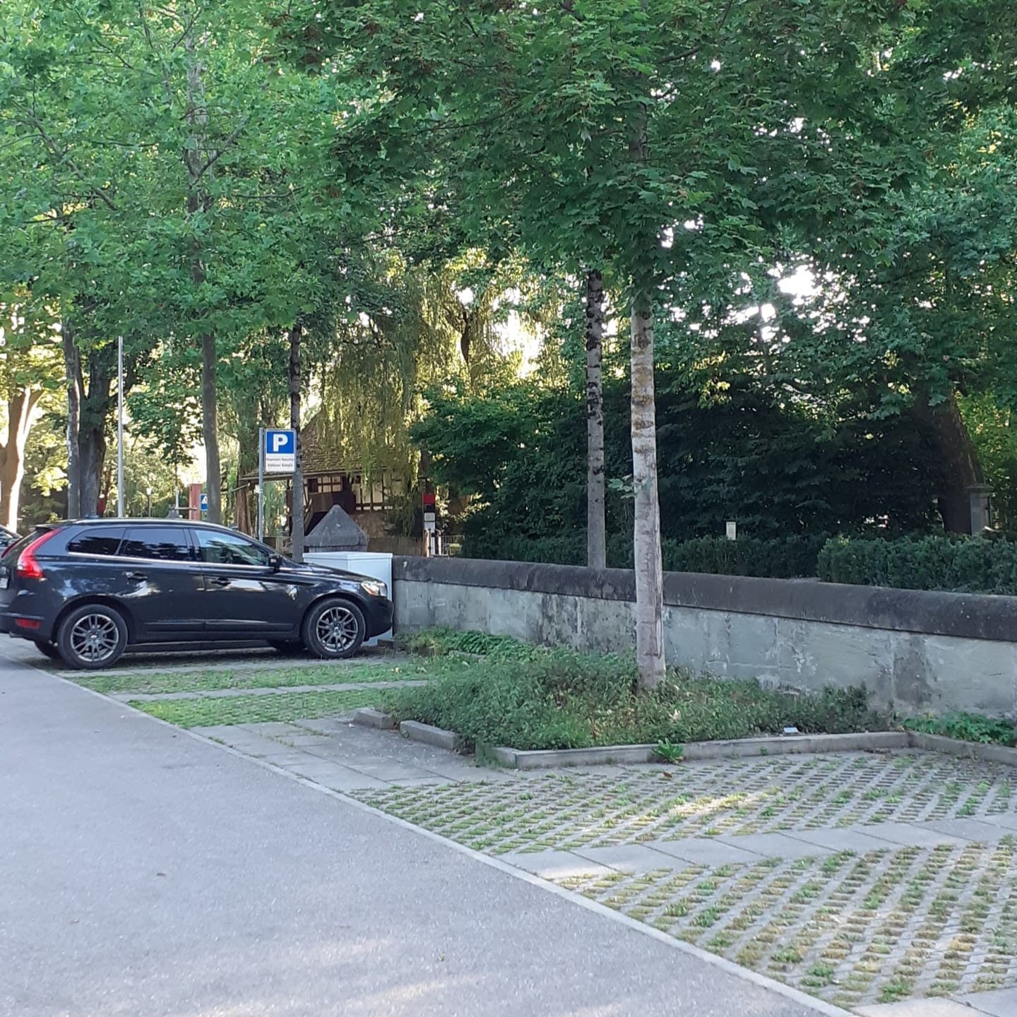 Ein Parkplatz mit Bäumen und Gittersteinen, durch die das Gras spriesst.