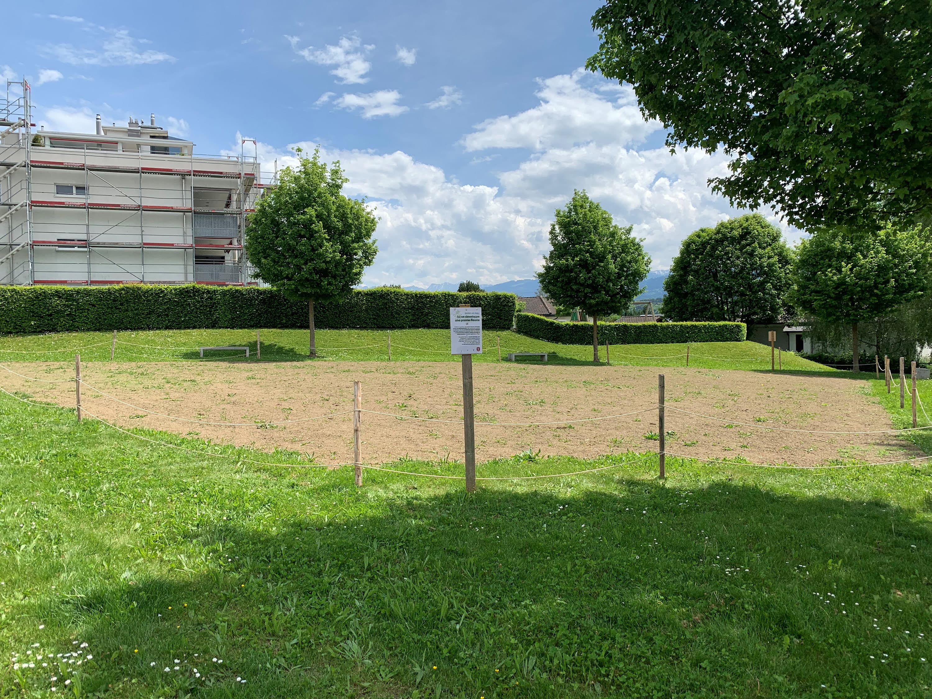 Eingezäunte Fläche, auf der eine Blumenwiese angesät wurde.