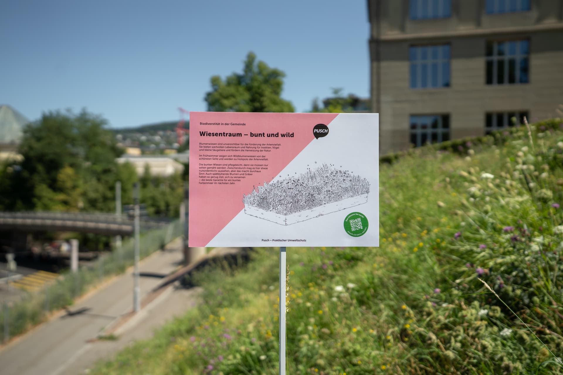 Ein Infoschild mit einem rosa Spickel und einer schwarz-weiss Skizze einer Blumenwiese steht an einem Hang vor einer blühenden Wiese mit Häusern und Strassen im Hintergrund.