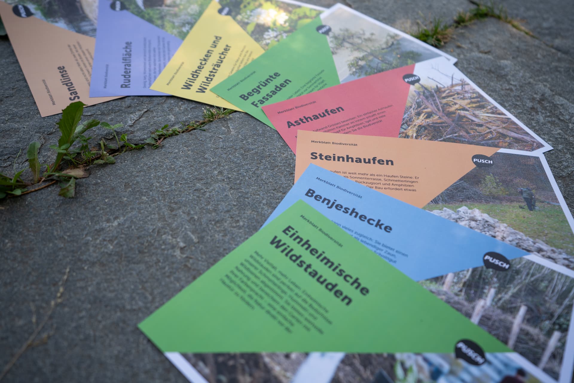 Im Fächer ausgebreitete, bunte Merkblätter für mehr Biodiversität liegen auf einem Steinplattenboden.